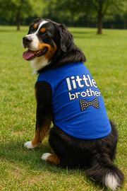 Parisian Pet 'Little Brother' Dog Shirt - Dog Sibling Shirt for Dogs & Cats, Blue