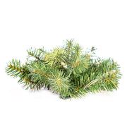 Kurt Adler 9-Foot Charleston Garland with 50 Lights