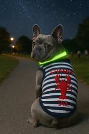 Parisian Pet 'Lobster Chasing Tail' Dog Shirt – Nautical Cotton Pet T-Shirt for Dogs & Cats, Blue & White Stripes