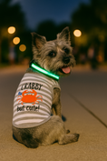 Load image into Gallery viewer, Parisian Pet 'Crabby But Cute Tee' Embroidered Dog Shirt - Trendy Pet Apparel for Dogs & Cats, Gray and White Stripes
