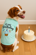 Load image into Gallery viewer, Parisian Pet 'Birthday Boy' Fun Slogan Dog T-Shirt –Premium Embroidered Celebratory Clothing for Dogs & Cats, Blue
