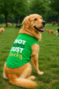 Load image into Gallery viewer, Parisian Pet 'Not Talented Just Lucky' Witty Dog Shirt – Trendy Slogan Pet Apparel for Dogs & Cats-Saint Patrick's Day
