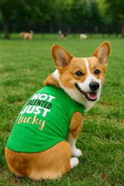 Parisian Pet 'Not Talented Just Lucky' Witty Dog Shirt – Trendy Slogan Pet Apparel for Dogs & Cats-Saint Patrick's Day