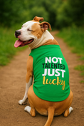 Load image into Gallery viewer, Parisian Pet 'Not Talented Just Lucky' Witty Dog Shirt – Trendy Slogan Pet Apparel for Dogs & Cats-Saint Patrick's Day
