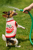Load image into Gallery viewer, Parisian Pet 'One in a Melon' Dog Shirt – Fun Summer Pet T-Shirt for Dogs & Cats, Pink
