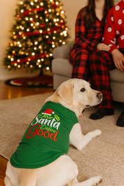 Parisian Pet 'Dear Santa Define Good' Dog Christmas T-Shirt - Festive Pet Shirt for Cats & Dogs, Green