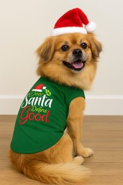Parisian Pet 'Dear Santa Define Good' Dog Christmas T-Shirt - Festive Pet Shirt for Cats & Dogs, Green