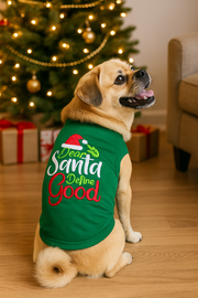 Parisian Pet 'Dear Santa Define Good' Dog Christmas T-Shirt - Festive Pet Shirt for Cats & Dogs, Green