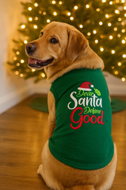 Parisian Pet 'Dear Santa Define Good' Dog Christmas T-Shirt - Festive Pet Shirt for Cats & Dogs, Green