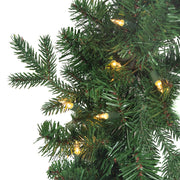 Kurt Adler 24-Inch Pre-Lit Clear Jackson Pine Wreath
