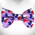 Load image into Gallery viewer, Colorado and Texas Dog Collars, Leads, and Bows - 5 Styles
