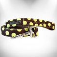 Load image into Gallery viewer, Polka Dot Dog Collars, Leads, and Bows on Brown - 4 Styles
