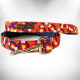 Load image into Gallery viewer, Colorado and Texas Dog Collars, Leads, and Bows - 5 Styles
