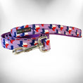 Load image into Gallery viewer, Colorado and Texas Dog Collars, Leads, and Bows - 5 Styles
