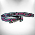 Load image into Gallery viewer, Southwestern Collars, Leads, and Bows - 7 Styles
