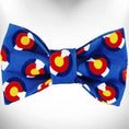 Load image into Gallery viewer, Colorado and Texas Dog Collars, Leads, and Bows - 5 Styles
