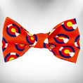 Load image into Gallery viewer, Colorado and Texas Dog Collars, Leads, and Bows - 5 Styles
