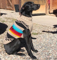 Load image into Gallery viewer, Painted Desert Dog Sweater
