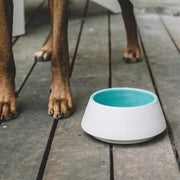 White and blue ceramic dog bowl
