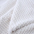 Load image into Gallery viewer, Paris Dog Blanket
