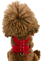 Parisian Corset Harness, Red 