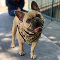 Load image into Gallery viewer, Jurassic Bark Reversible Harness - Southlake Paws
