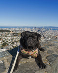 Load image into Gallery viewer, Jurassic Bark Reversible Harness - Southlake Paws
