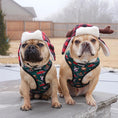 Load image into Gallery viewer, Lumbersnack Reversible Harness - Southlake Paws
