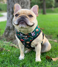 Load image into Gallery viewer, Lumbersnack Reversible Harness - Southlake Paws

