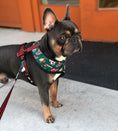 Load image into Gallery viewer, Lumbersnack Leash Kit - Southlake Paws

