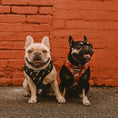 Load image into Gallery viewer, Pawgwarts Reversible Harness - Southlake Paws
