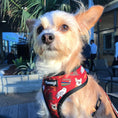 Load image into Gallery viewer, Pawgwarts Reversible Harness - Southlake Paws
