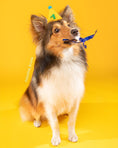Load image into Gallery viewer, PAWTY HAT - Green number
