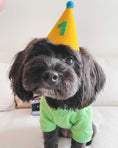 Load image into Gallery viewer, PAWTY HAT - Green number
