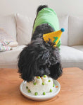 Load image into Gallery viewer, PAWTY HAT - Green number
