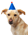 Load image into Gallery viewer, PAWTY HAT
