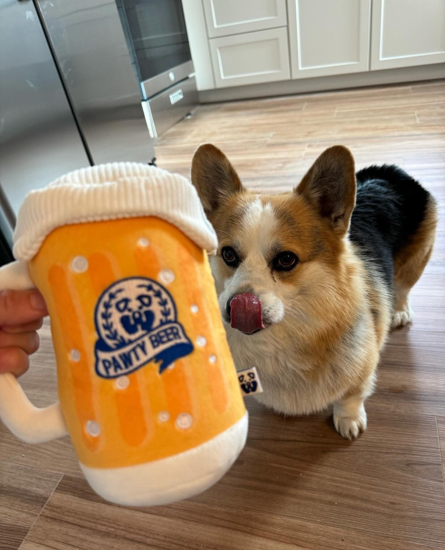 PAWTY BEER PLUSH DOG TOY - Southlake Paws