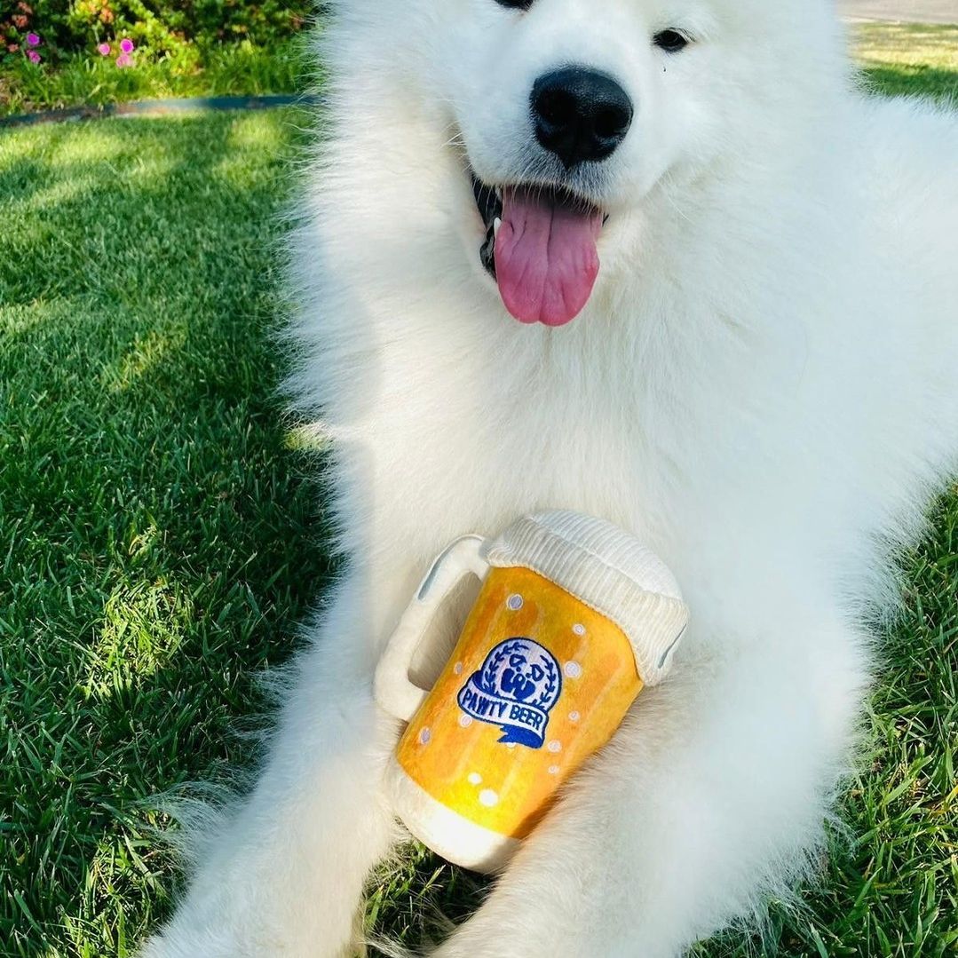 PAWTY BEER PLUSH DOG TOY - Southlake Paws