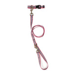 Pendleton Adventure Collar