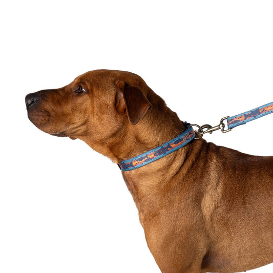 Pendleton Adventure Collar - Dog Collar