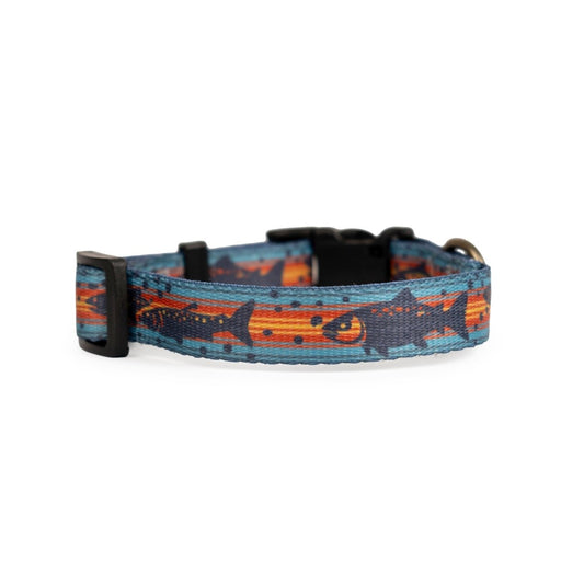 Pendleton Adventure Collar - Dog Collar