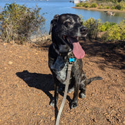 Pendleton Adventure Leash