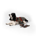 Load image into Gallery viewer, Pendleton Adventure Leash - Dog Leash
