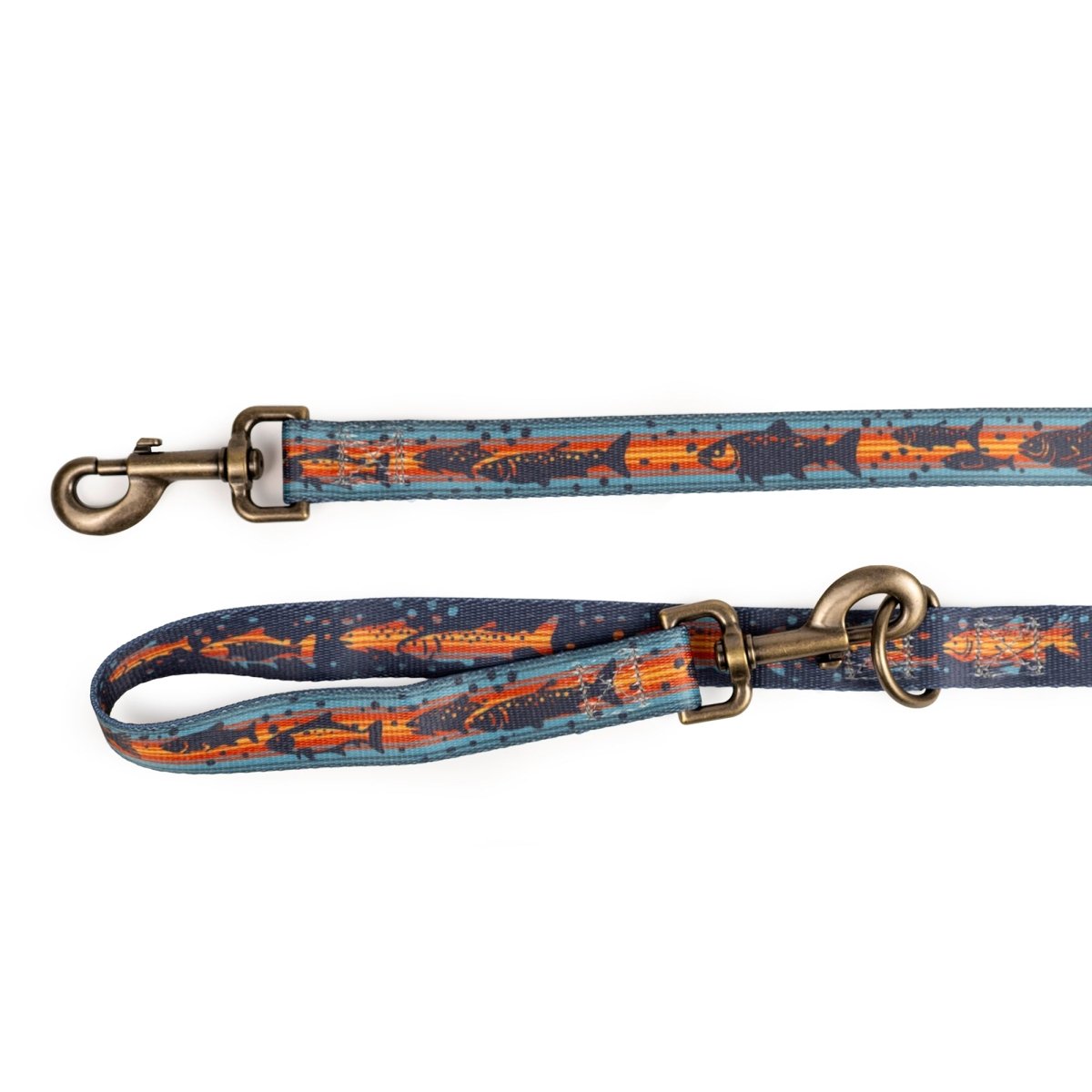 Pendleton Adventure Leash - Dog Leash