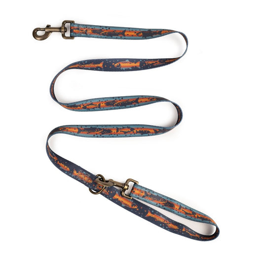 Pendleton Adventure Leash - Dog Leash