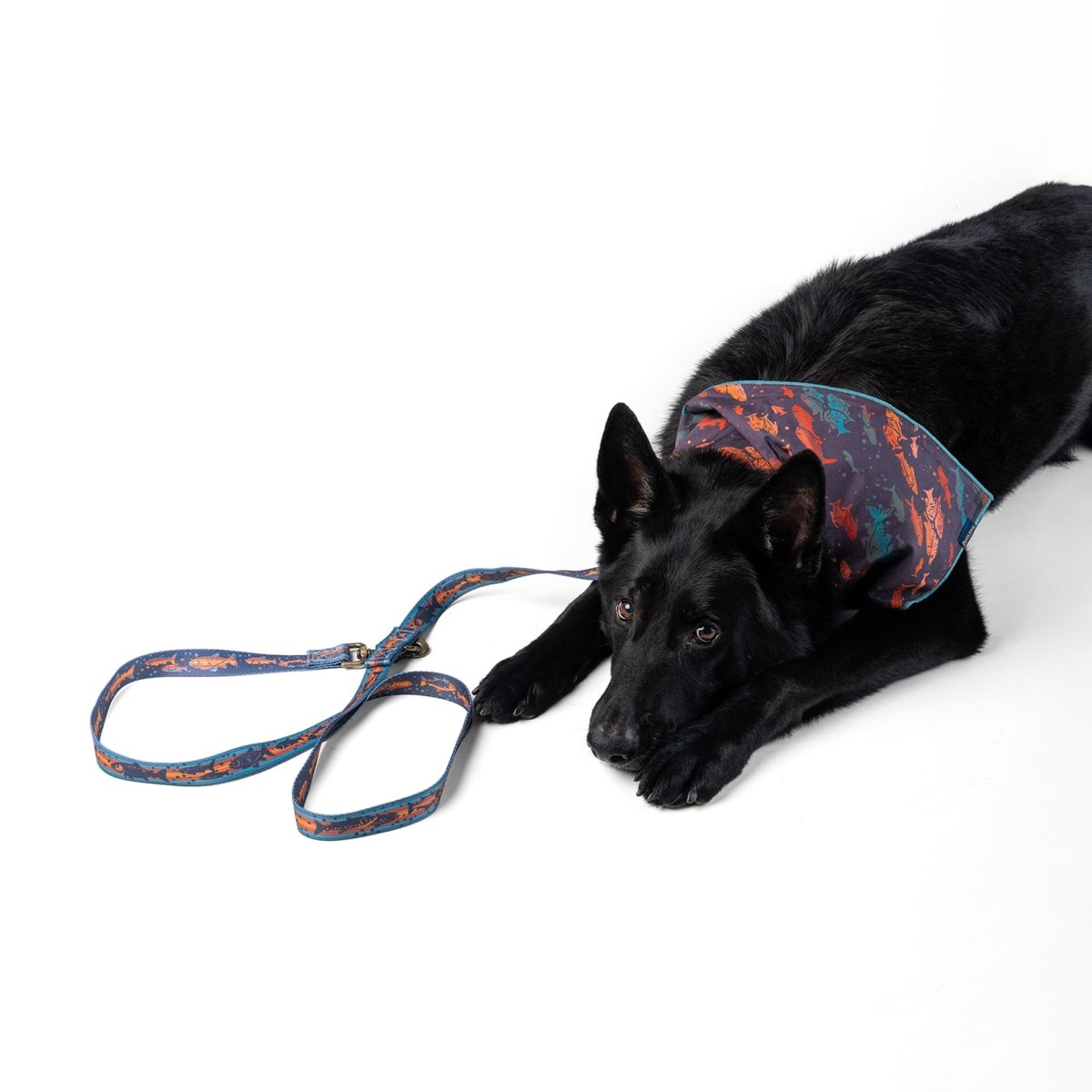 Pendleton Adventure Leash - Dog Leash