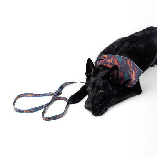 Pendleton Adventure Leash - Dog Leash