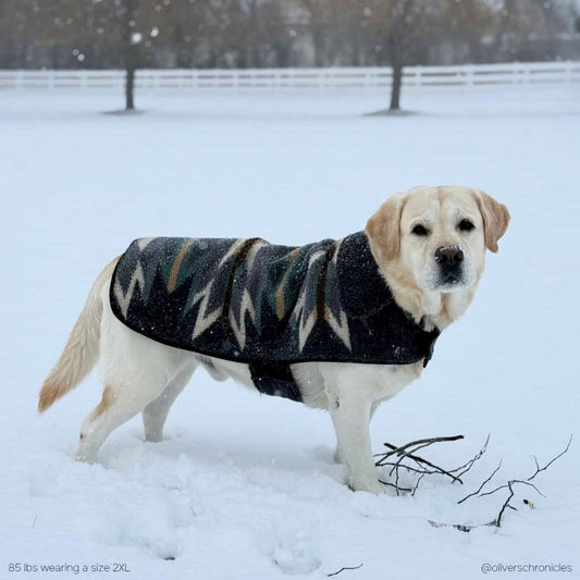 Pendleton Berber Dog Coat - Harding Rosewood / X-Small by Carolina Pet Co.