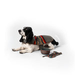 Pendleton Ceramic Food & Water Dog Bowl 