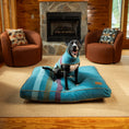 Load image into Gallery viewer, Pendleton Dog Vest
